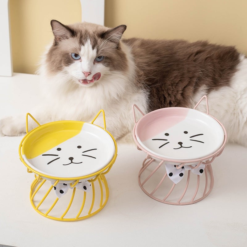 Elevated Ceramic Cat Bowl with Metal Riser