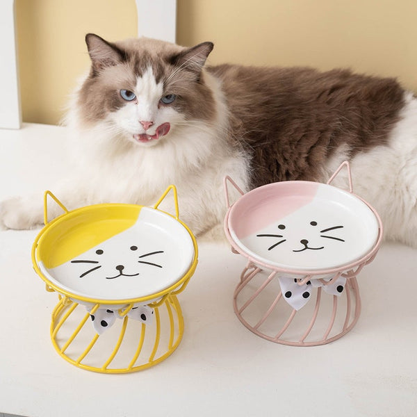 Elevated Ceramic Cat Bowl with Metal Stand