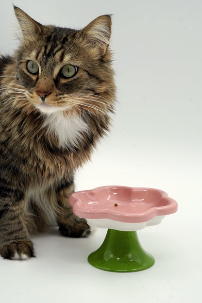 Elevated Ceramic Cat Flower Bowl