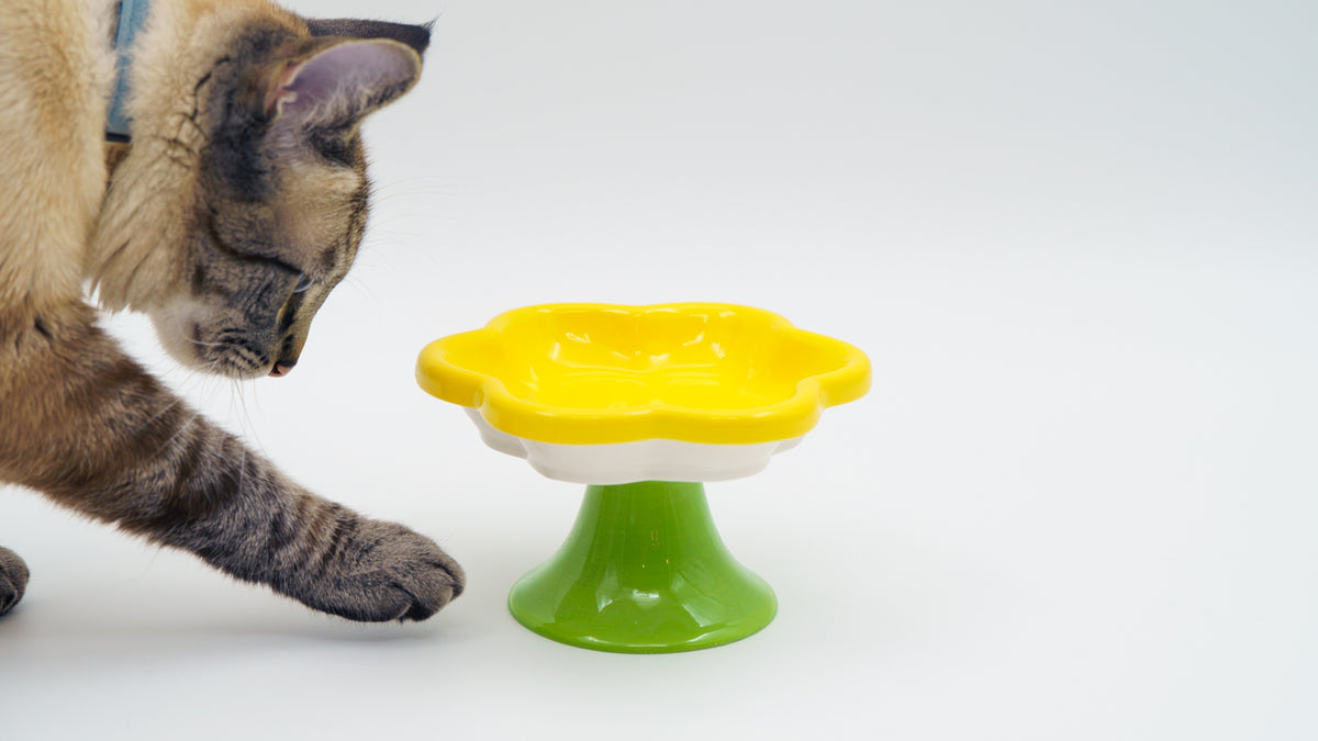 Elevated Ceramic Cat Flower Bowl