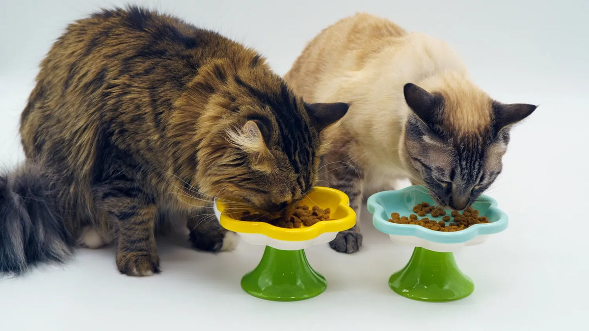 Elevated Ceramic Cat Flower Bowl