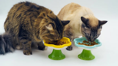 Elevated Ceramic Cat Flower Bowl
