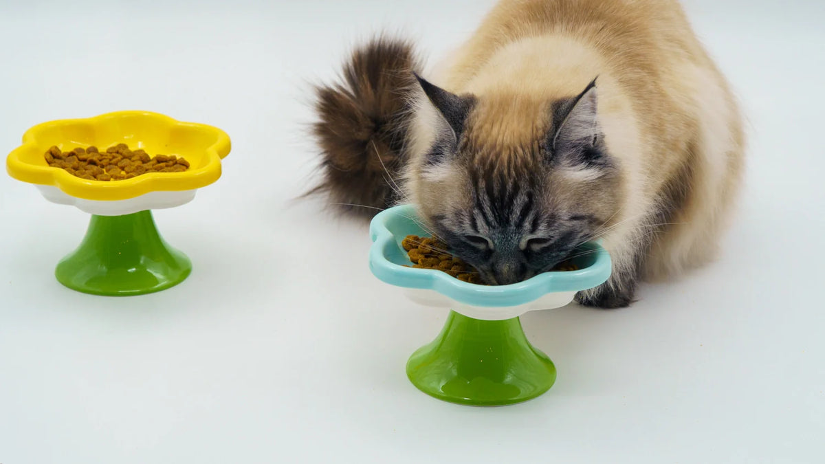 Elevated Ceramic Cat Flower Bowl