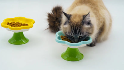 Elevated Ceramic Cat Flower Bowl